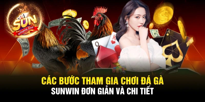 Các bước tham gia chơi đá gà Sunwin đơn giản và chi tiết
