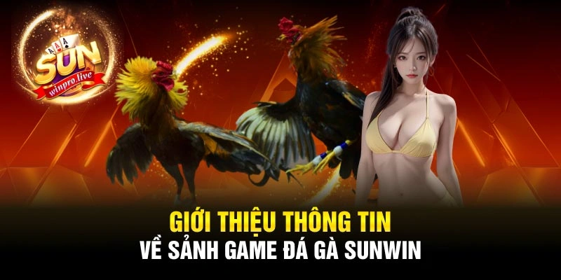 Giới thiệu thông tin về sảnh game đá gà Sunwin