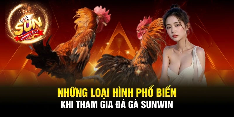 Những loại hình phổ biến khi tham gia đá gà Sunwin